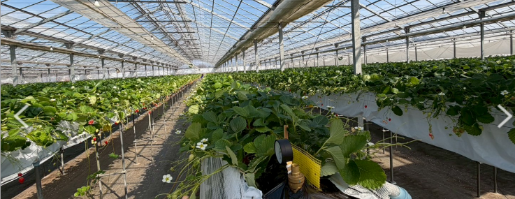 >
  </figure>
</div>

<div class=